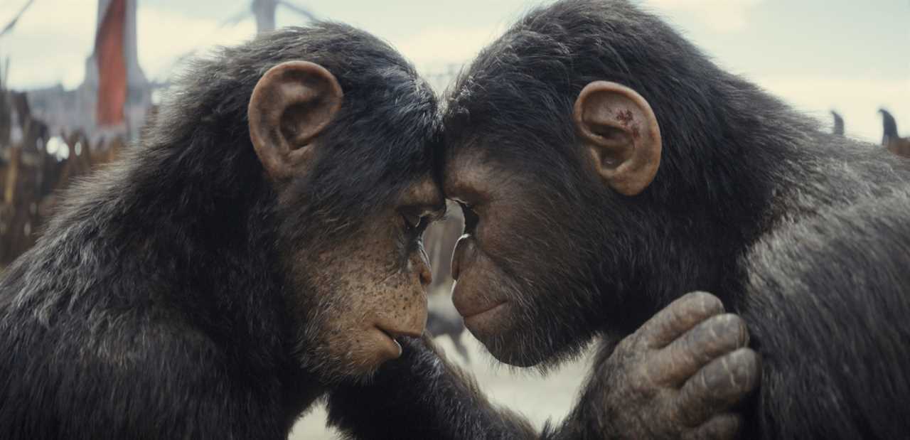 Review: Kingdom Of The Planet Of The Apes