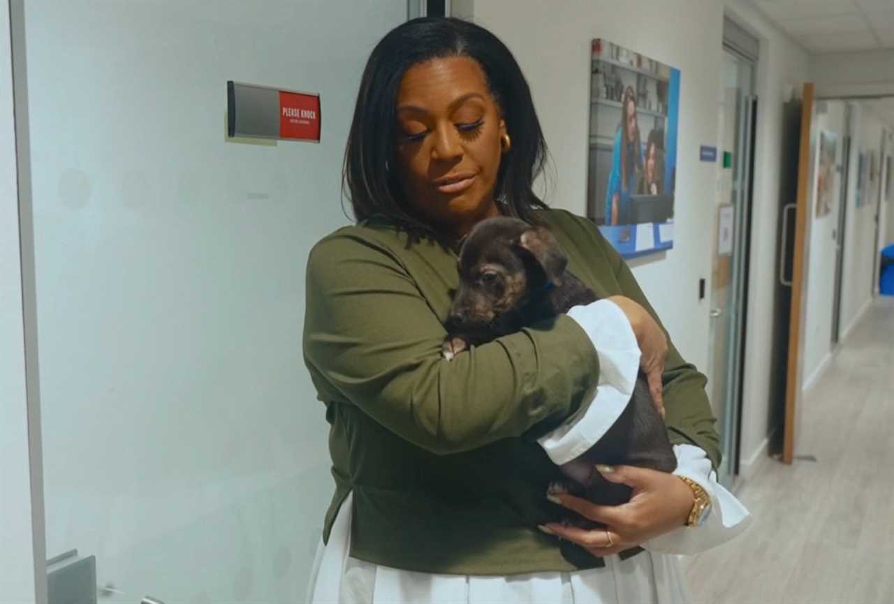 Alison Hammond Faces Criticism From For The Love of Dogs Fans