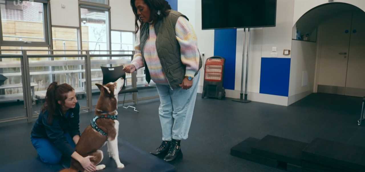 Alison Hammond Faces Criticism From For The Love of Dogs Fans