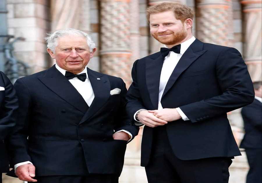 Real Reason Prince Harry Declined Meeting with King Charles During London Visit