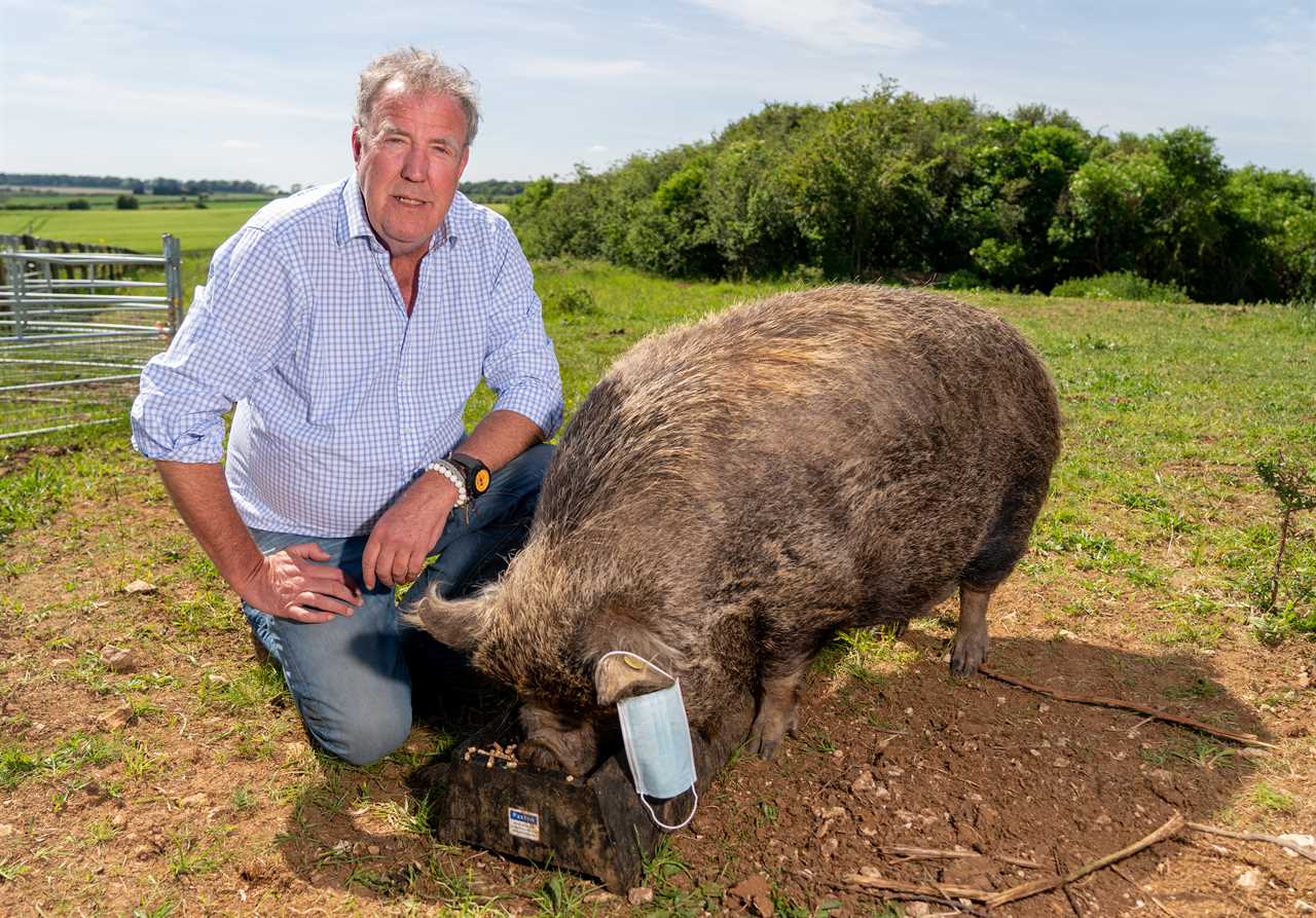 Clarkson's Farm Star Defends Actions After Viewer Criticism