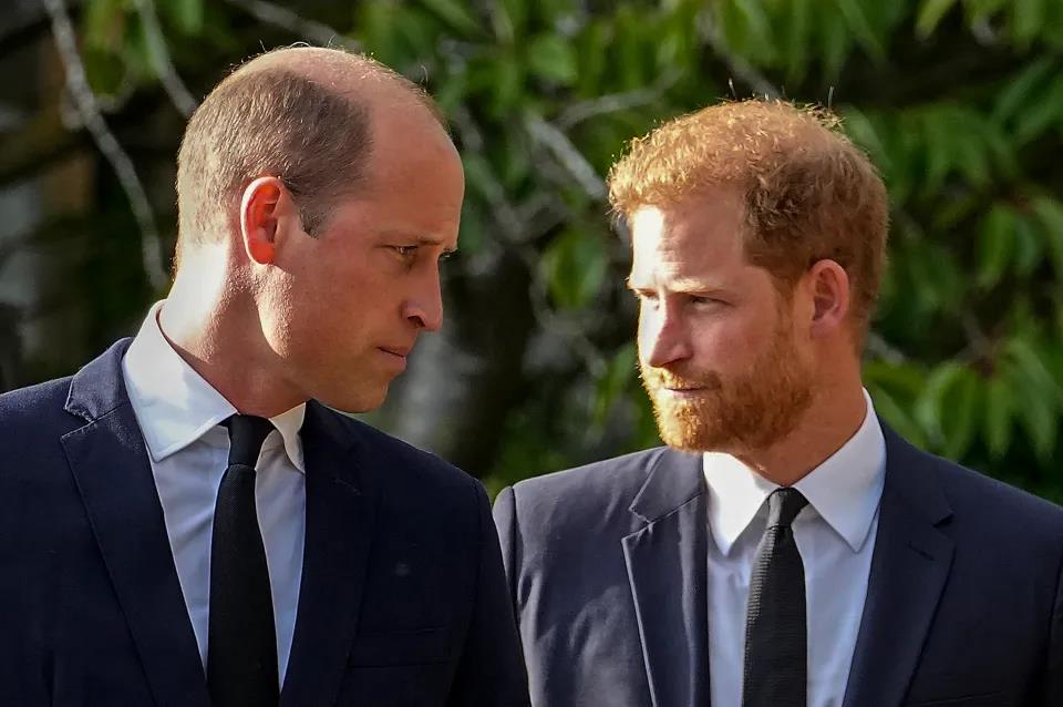 Prince Harry must take the first step to heal rift with William, says royal expert