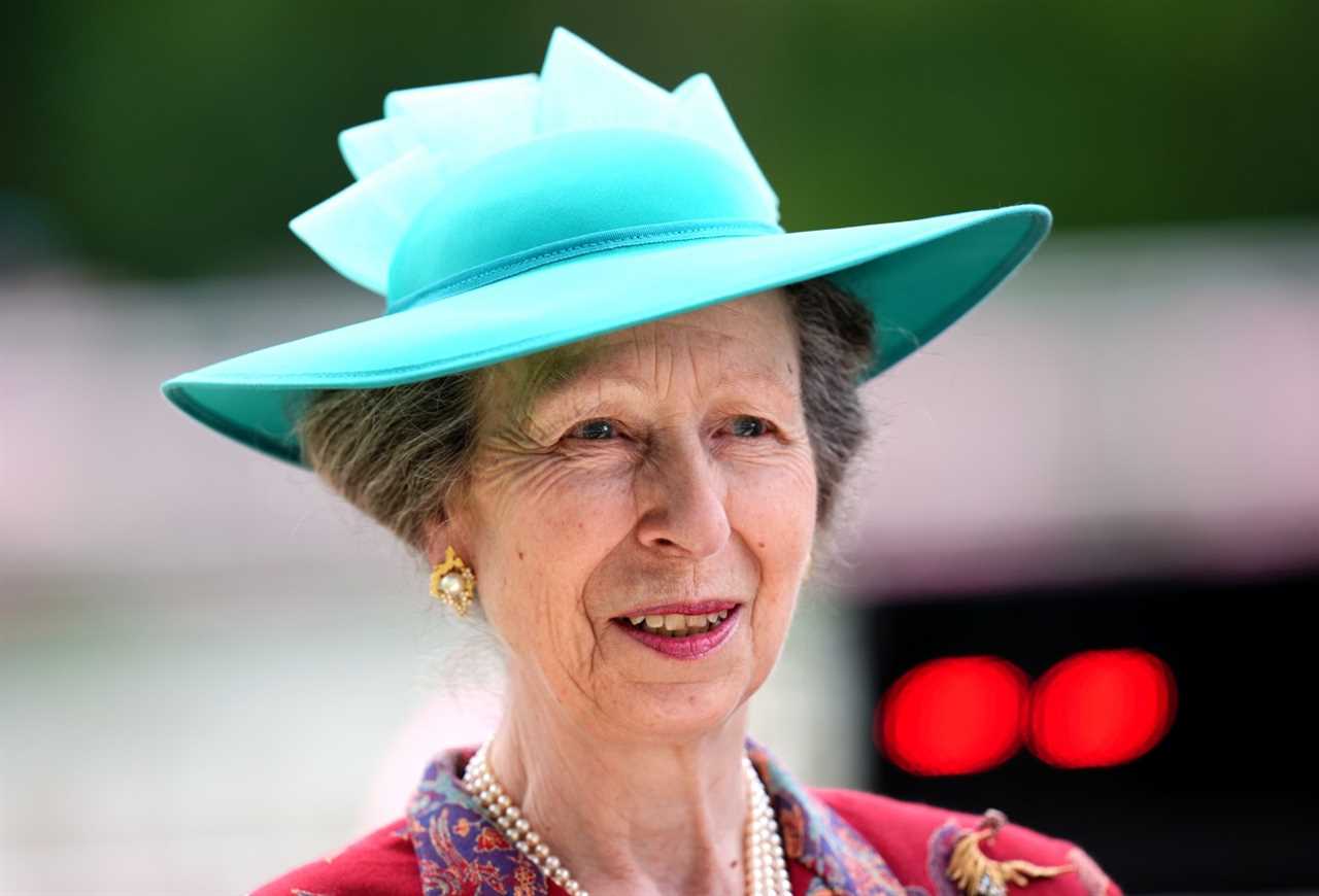 Princess Anne Treated at State-of-the-Art Hospital for Head Injury