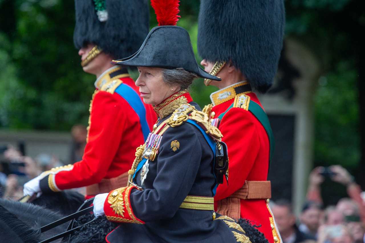 Princess Anne 'Can't Remember' Accident Resulting in Head Injury