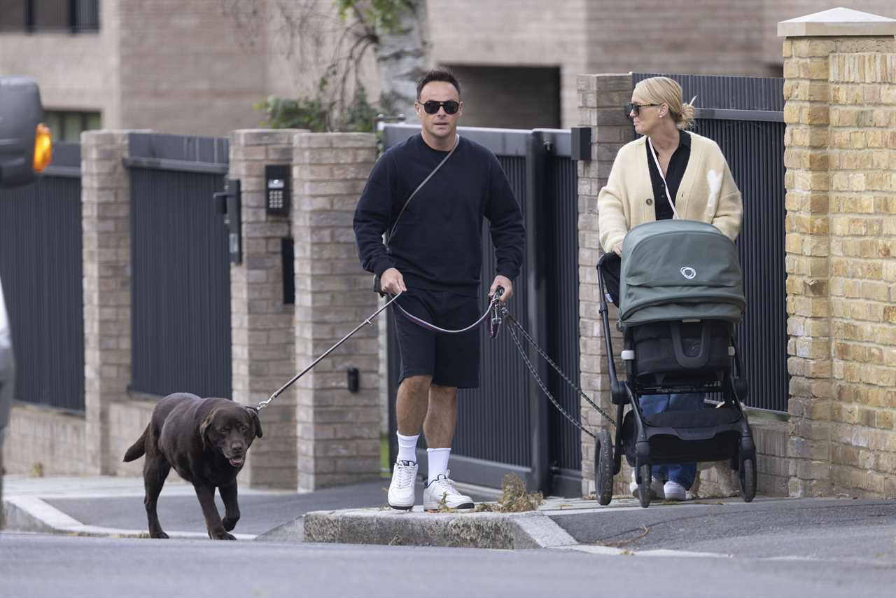Ant McPartlin reunites with pet dog Hurley for family walk with wife and newborn baby