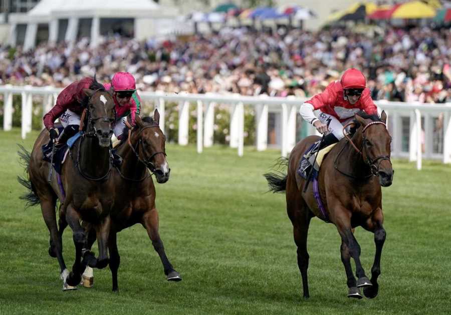 Royal Ascot 2024: Duke Of Cambridge Stakes Result and Race Schedule