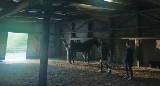 Outrage as BBC Drama Depicts Horse in Controversial Scene