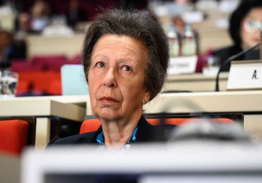 Princess Anne's Health Update: Visits Paris on 12-Day Olympics Trip After Recovering from Head Injury