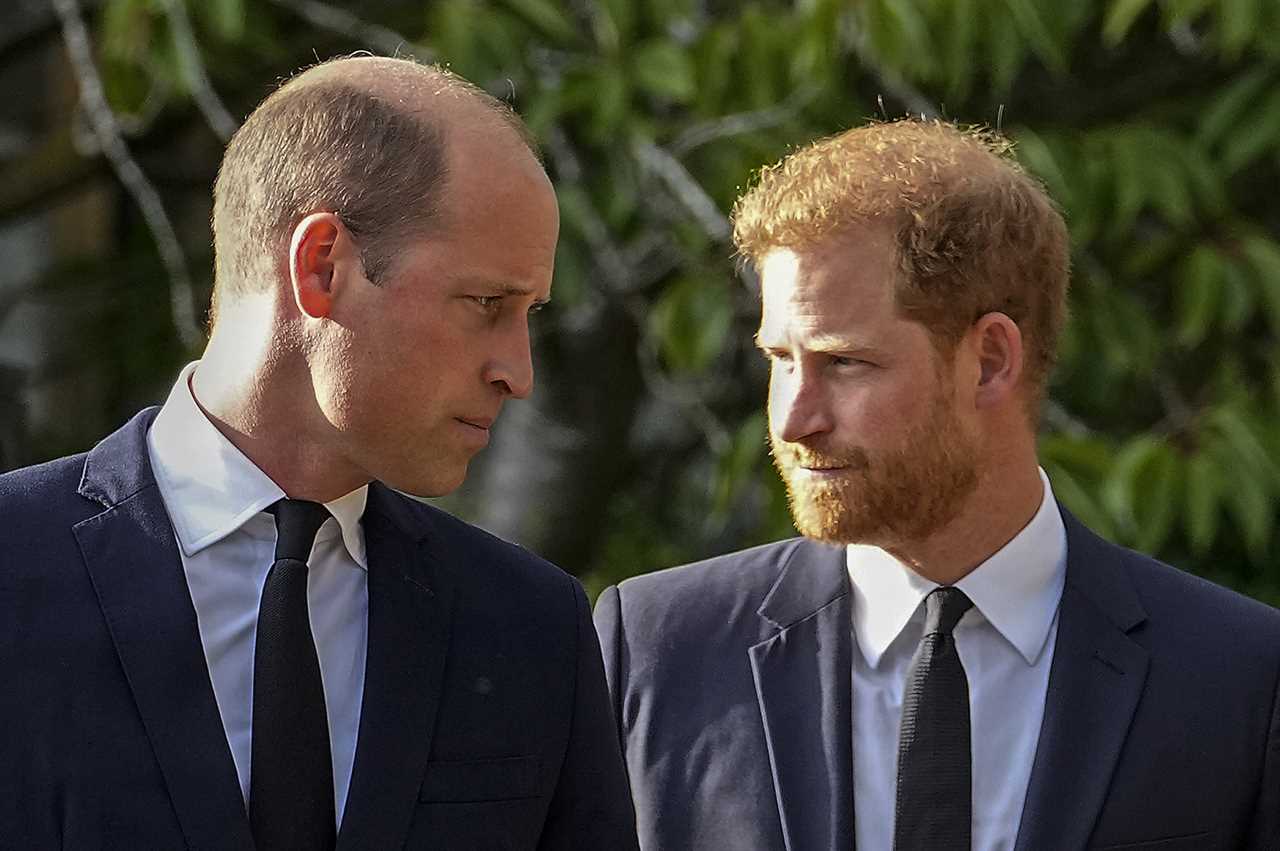 Prince William Reportedly Does Not Want Prince Harry at His Coronation