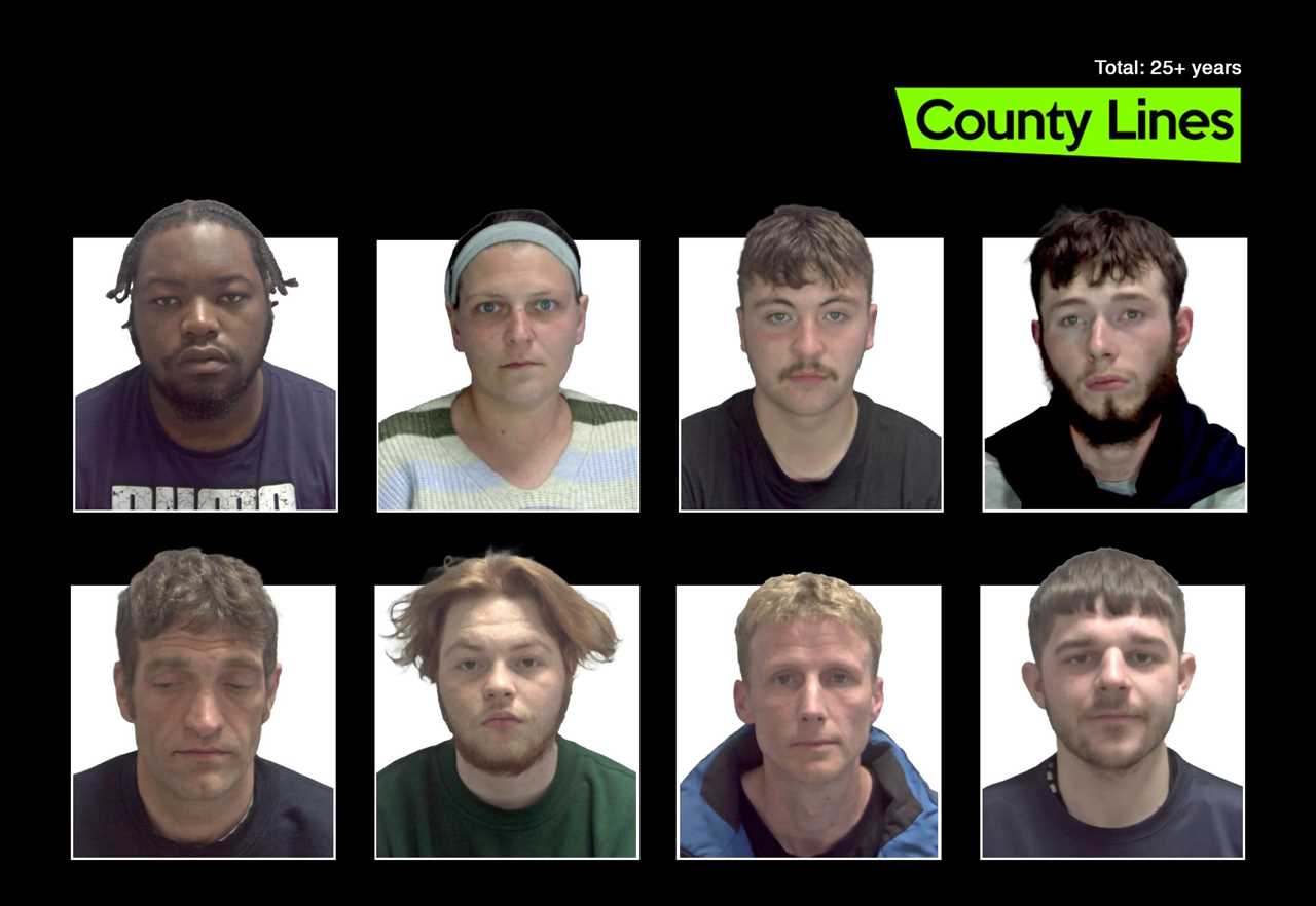 Norwich Crime Gang: The Lewis Line Unveiled