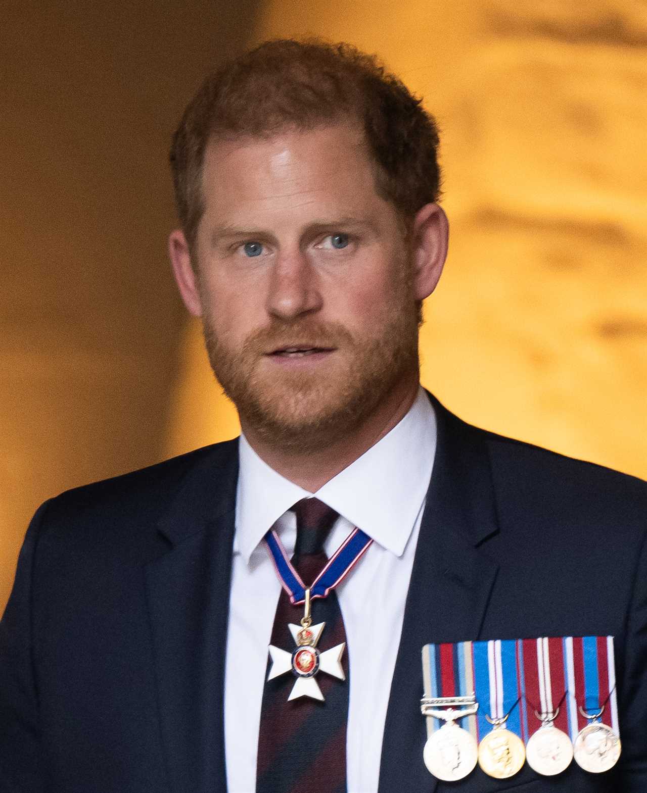 Prince Harry's Lack of Aptitude for Royal Life Criticized by Sir Ian McKellen