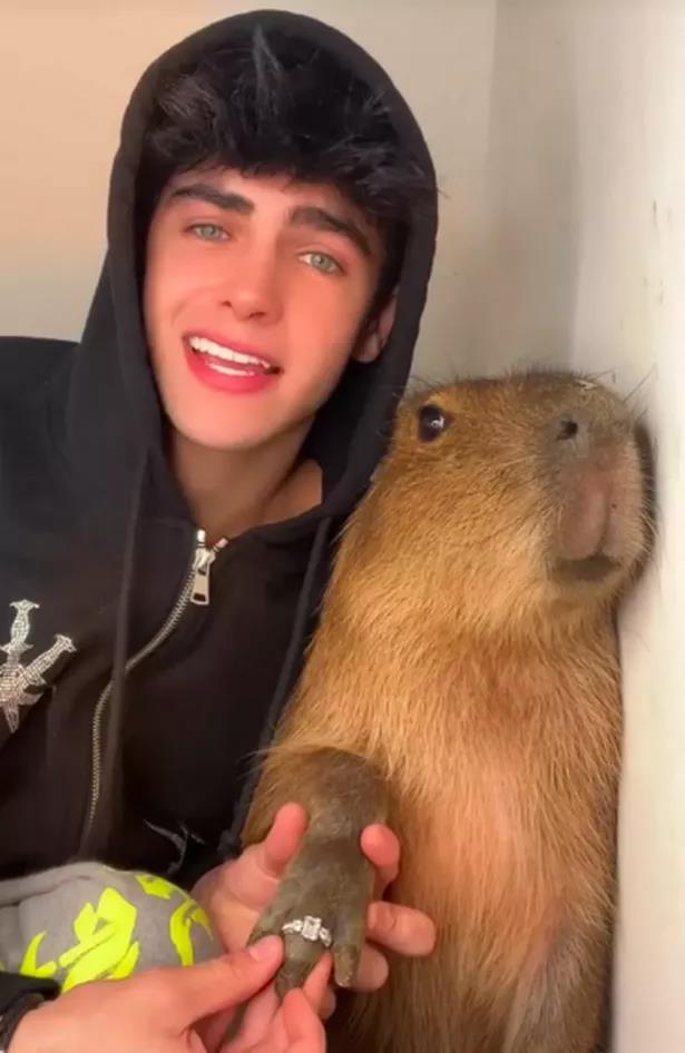 Kyle Thomas: From TikTok Star to Animal Activist