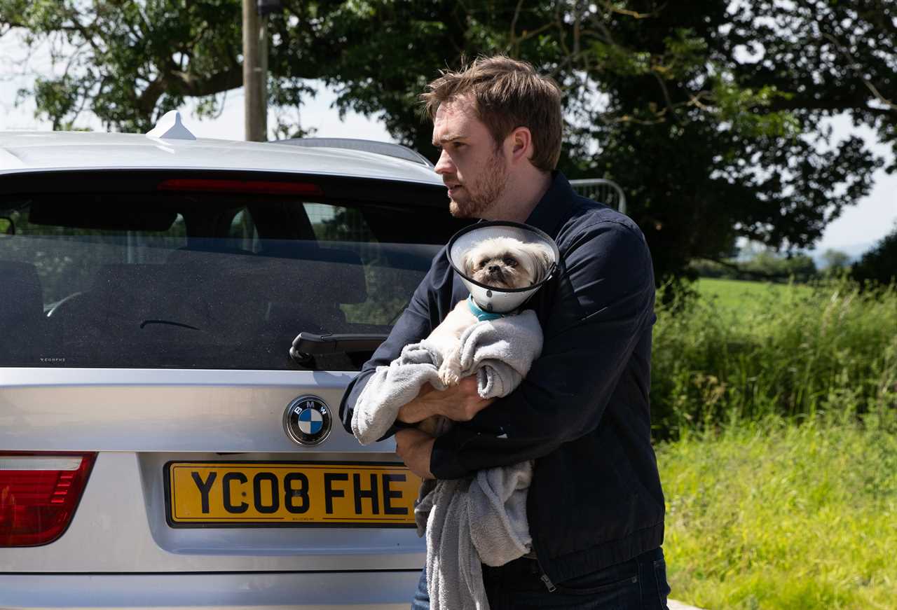 Emmerdale Star Hints at Shock Return for Beloved Dog After Abuse Storyline