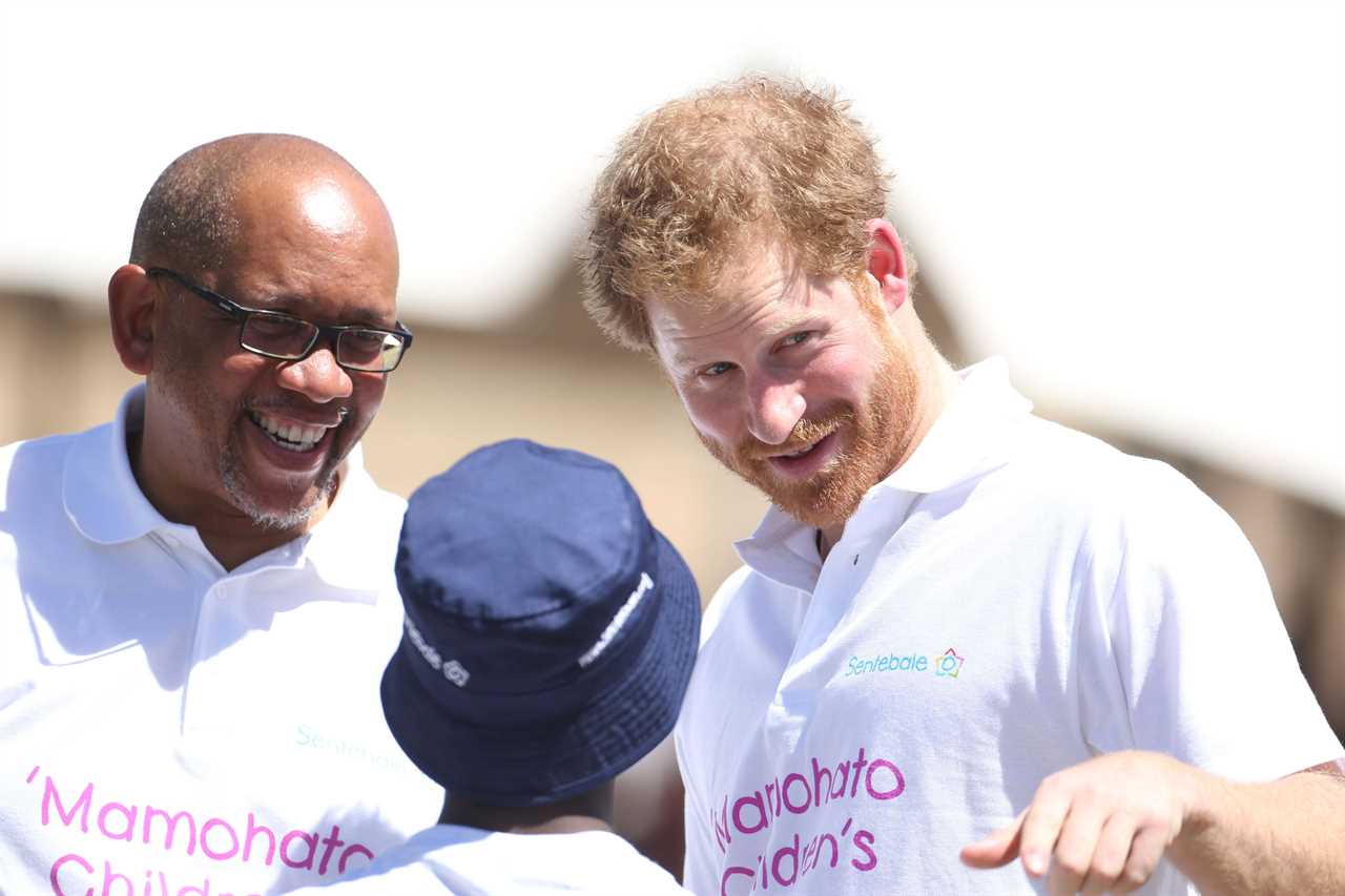 Prince Harry's Solo Journey: Seeking Space or Strategic Move?