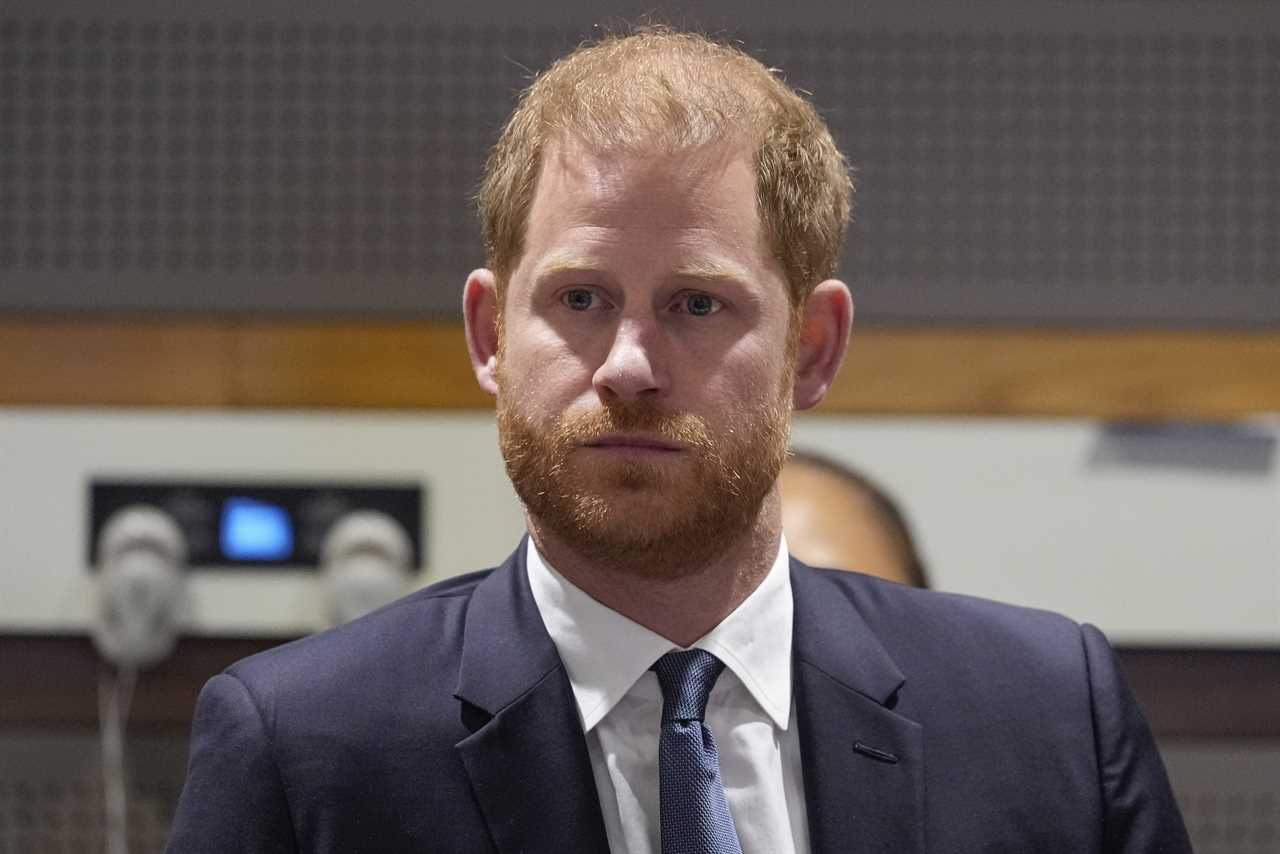 Former Queen's PR reflects on Prince Harry as a 'darling' amidst palace crises