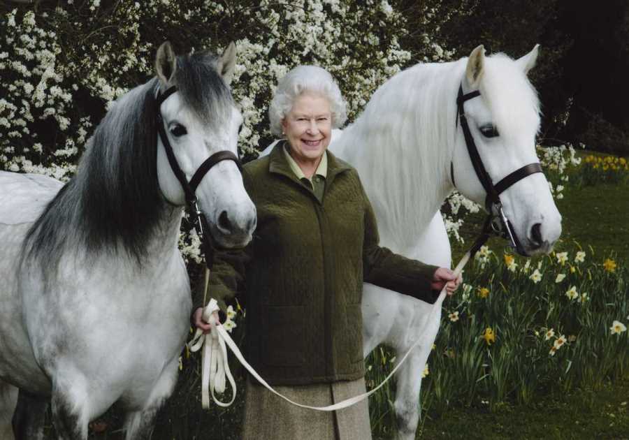 Queen’s Favourite Pony Pays Final Tribute at Ascot