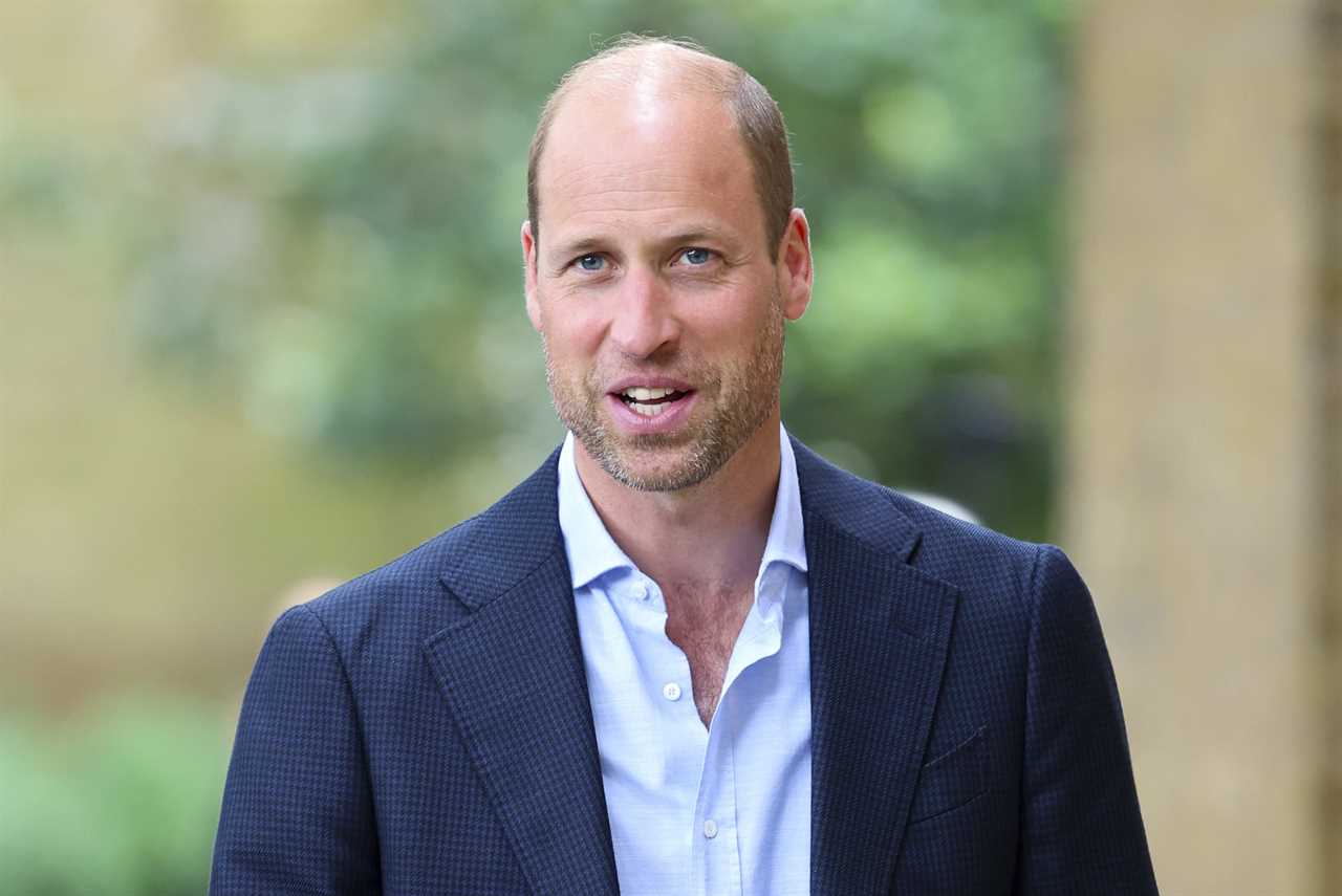 Prince William's 'Brutal' Year: A Turning Point at the Royal Albert Hall