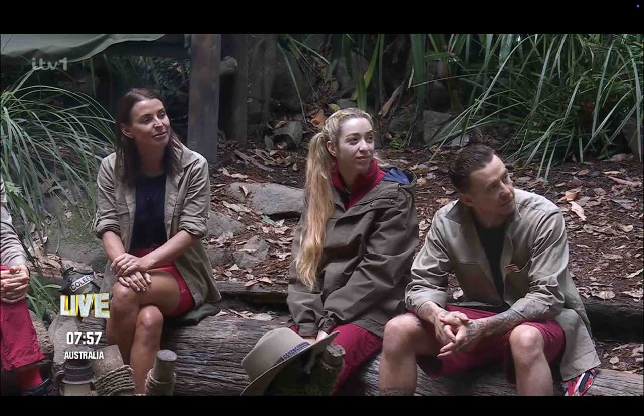 Missing Part of I'm A Celebrity Leaves Fans Pleading for Its Return