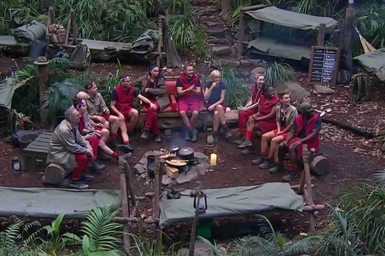 I'm a Celebrity stars horrified as camp is infested by rats and toads after heavy rain