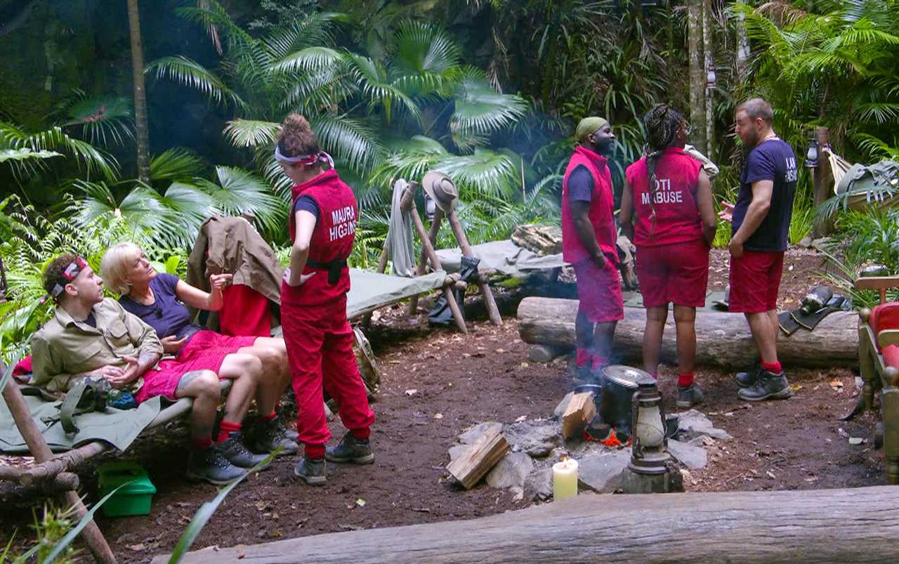 I'm a Celebrity stars horrified as camp is infested by rats and toads after heavy rain