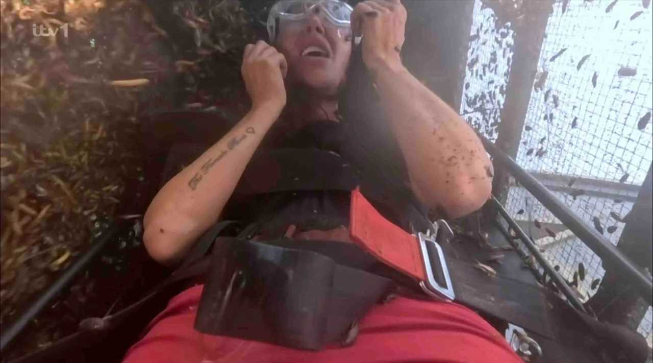 I'm A Celeb's Medics Rushed to Help Tulisa in Skin-Crawling Bushtucker Trial Moment