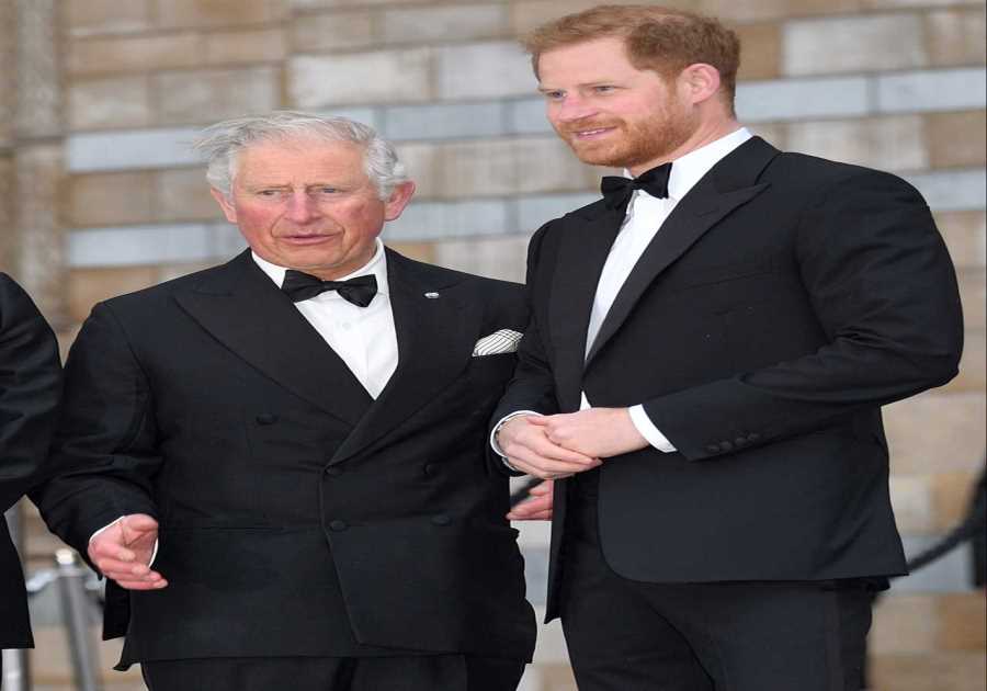 Prince Harry's public presence could be hindering reunion with family, says royal expert