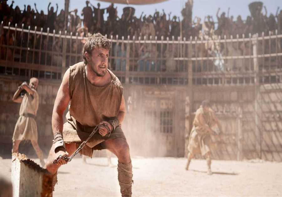 The Real Gladiators: More Than Just Blood and Battles