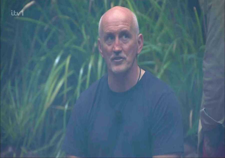 I'm A Celebrity: Drama, Disappointment, and Delight in the Jungle