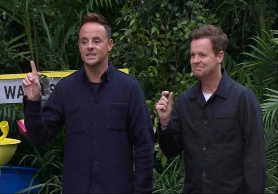 Ant McPartlin and Dean McCullough's Face-off on I'm A Celebrity Sparks Feud Speculations