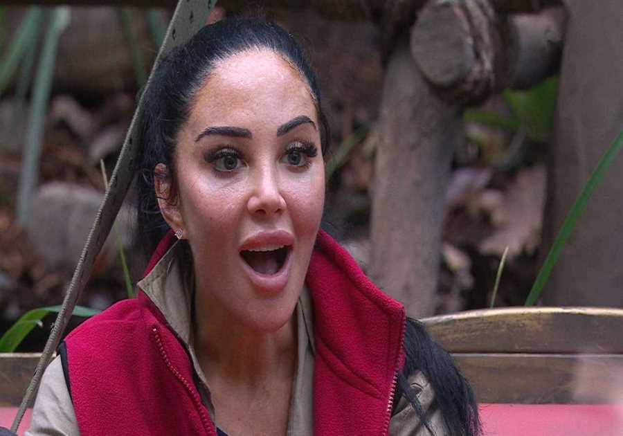 Tulisa and Rev Richard Coles Exempt from I’m A Celeb Trial Due to Shared Fear of Heights