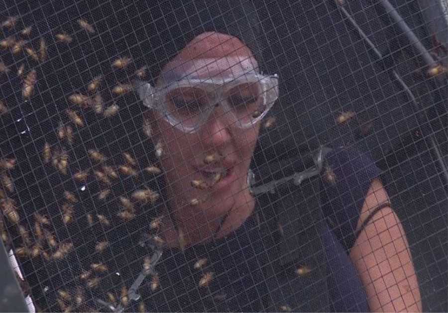 Tulisa snubs two I'm A Celeb co-stars in tense Bushtucker Trial