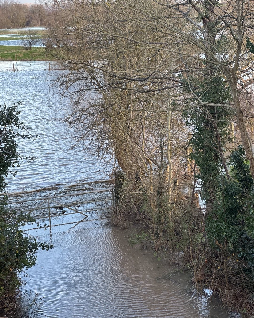 Monty Don's Home Hit by Storm Darragh