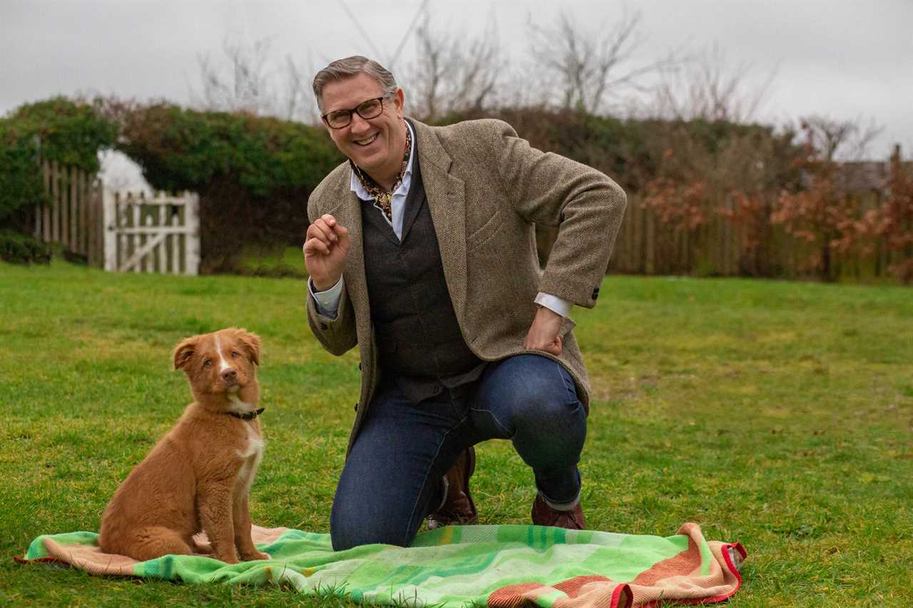 Channel 5 announces the return of Dogs Behaving (Very) Badly with a brand new series