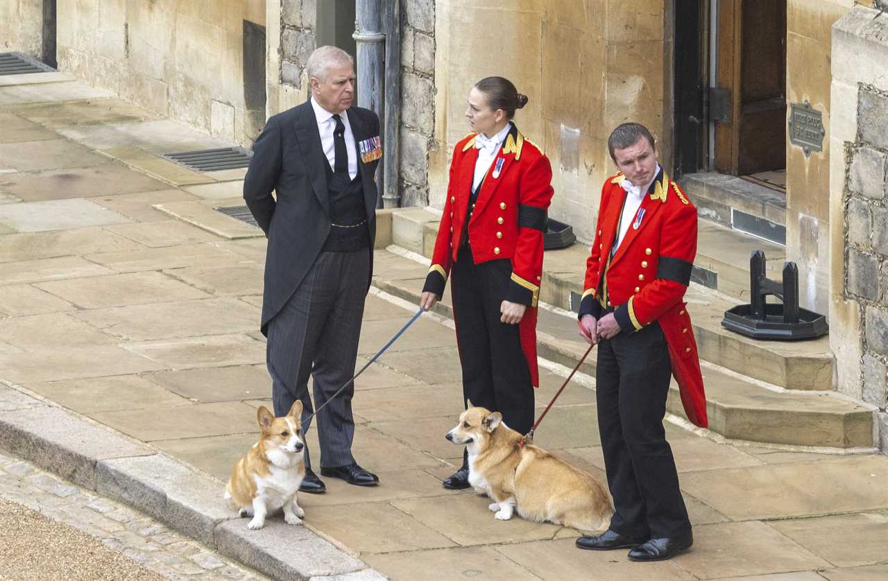 Sulking Prince Andrew refuses to walk late Queen's corgis amid royal snub