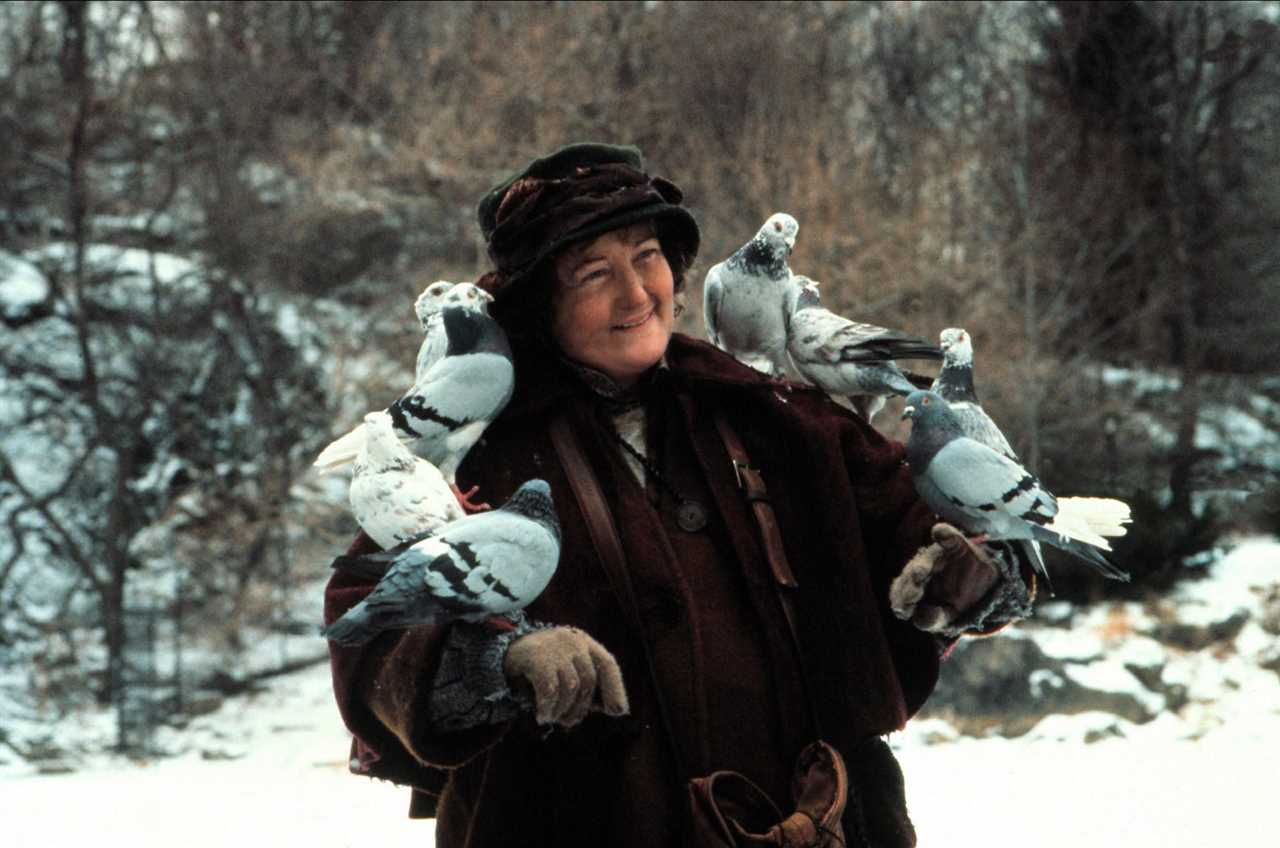 Home Alone's Pigeon Lady: Brenda Fricker's Journey After the Iconic Movie