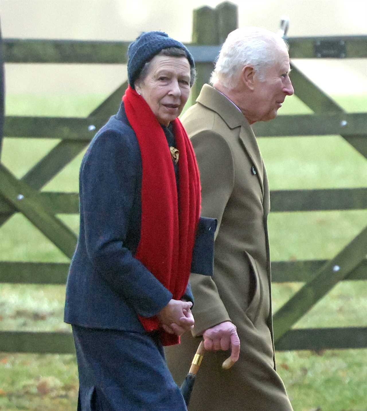 King Charles and Princess Anne Brave the Chill at Sandringham Church Service