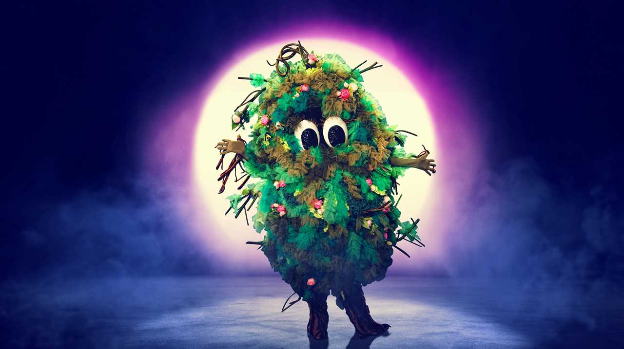 Masked Singer Fans Speculate Pop Band Star as New Character Bush