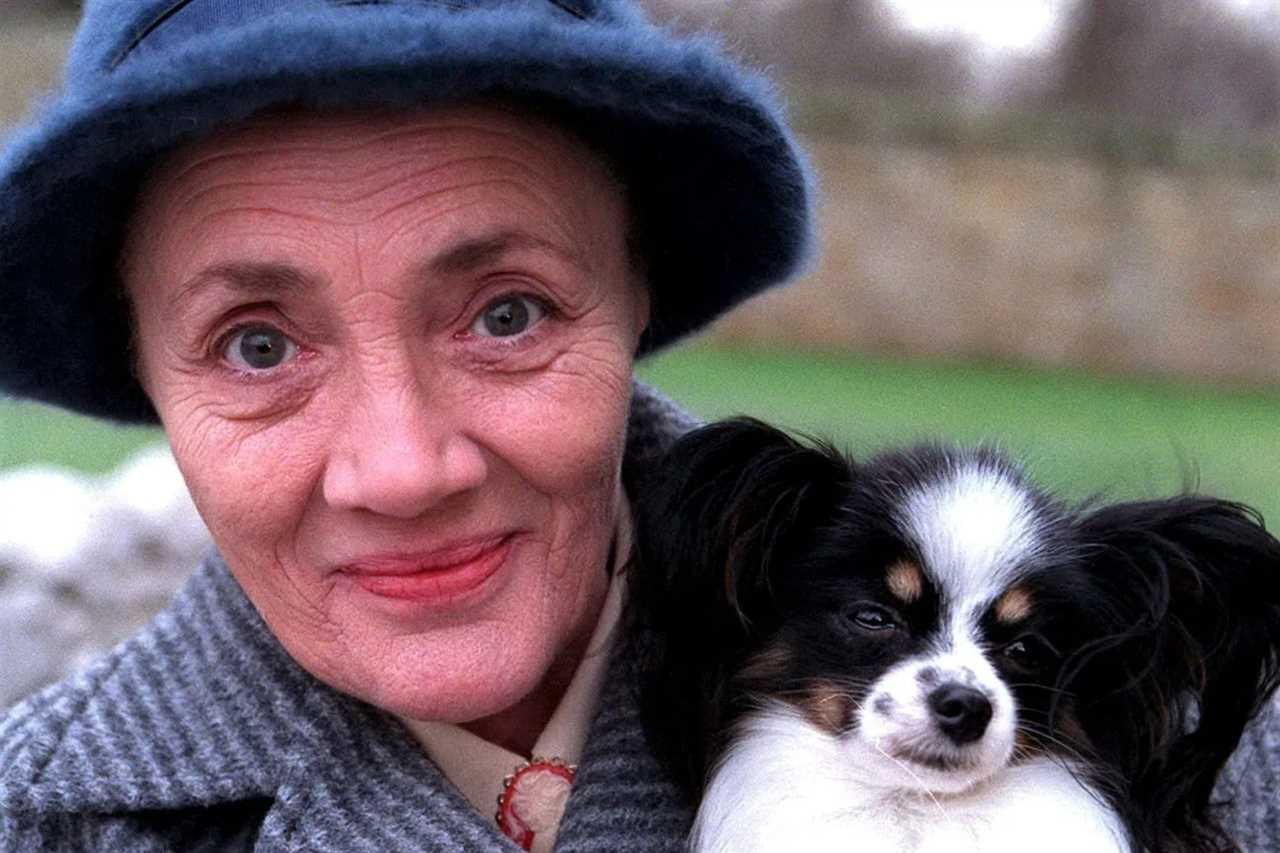 Emmerdale fans demand answers: What happened to Tootsie the iconic dog?