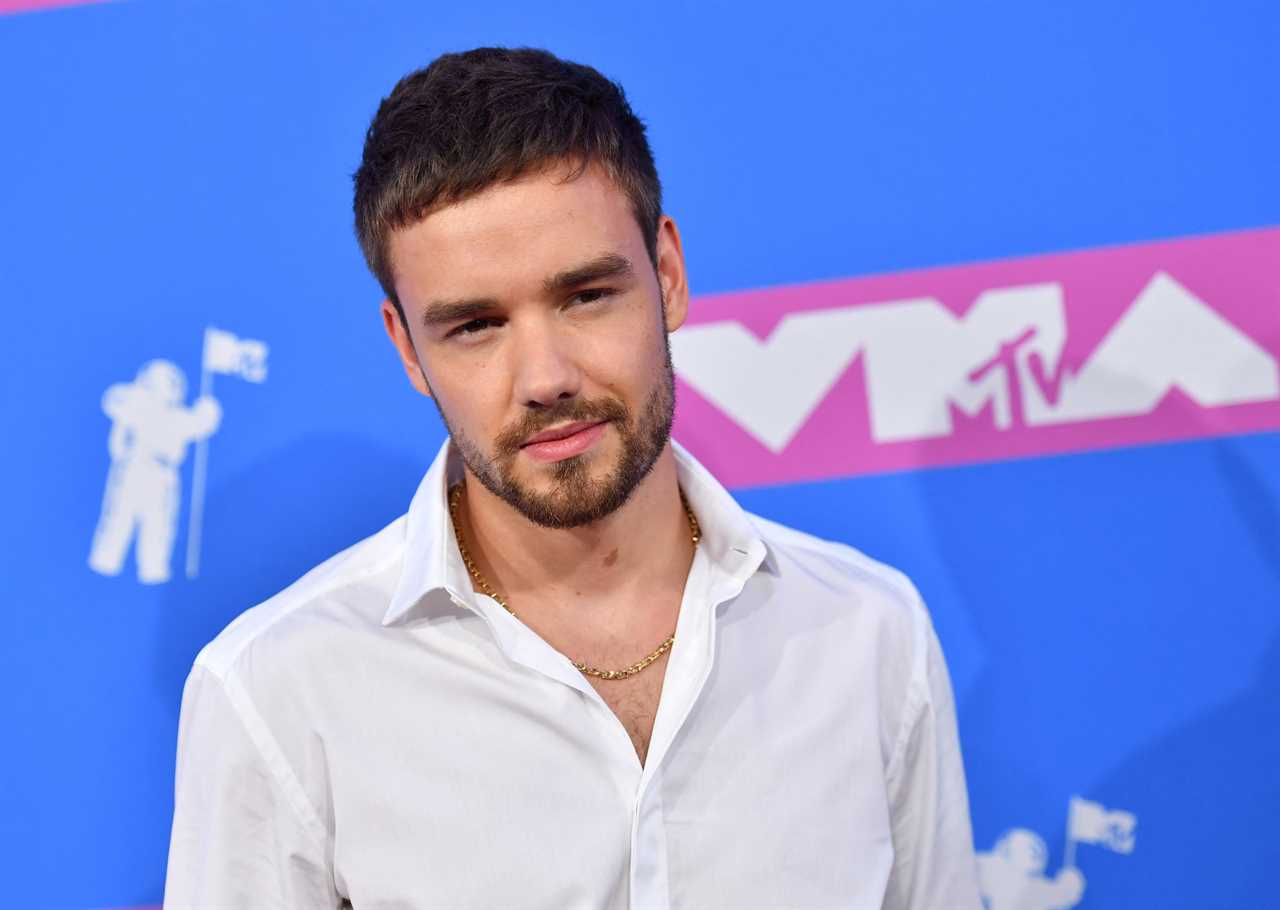 Liam Payne's Last Project, Building the Band, to be Released on Netflix