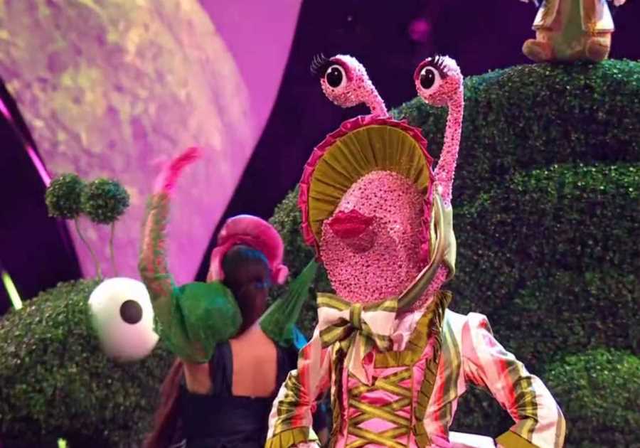 Clues suggest iconic girlband member on The Masked Singer