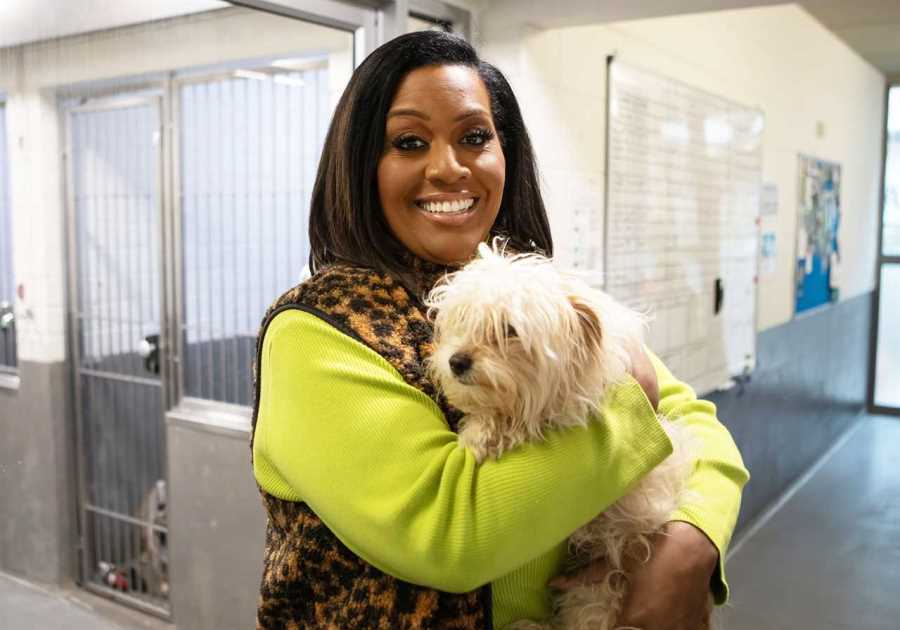 Alison Hammond set to return as host of beloved series despite rumors of replacement