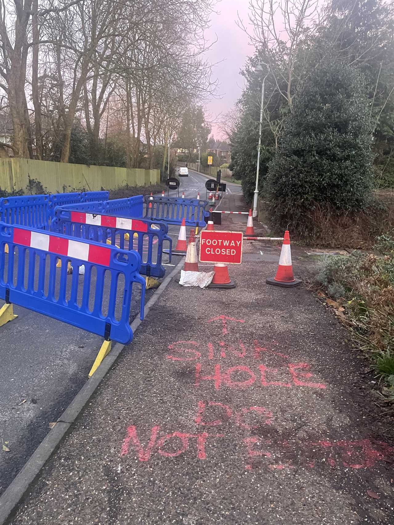 Strictly star Dianne Buswell's mansion threatened by sinkhole