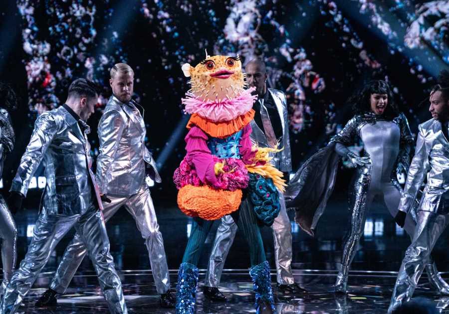 Masked Singer fans speculate Pufferfish's identity