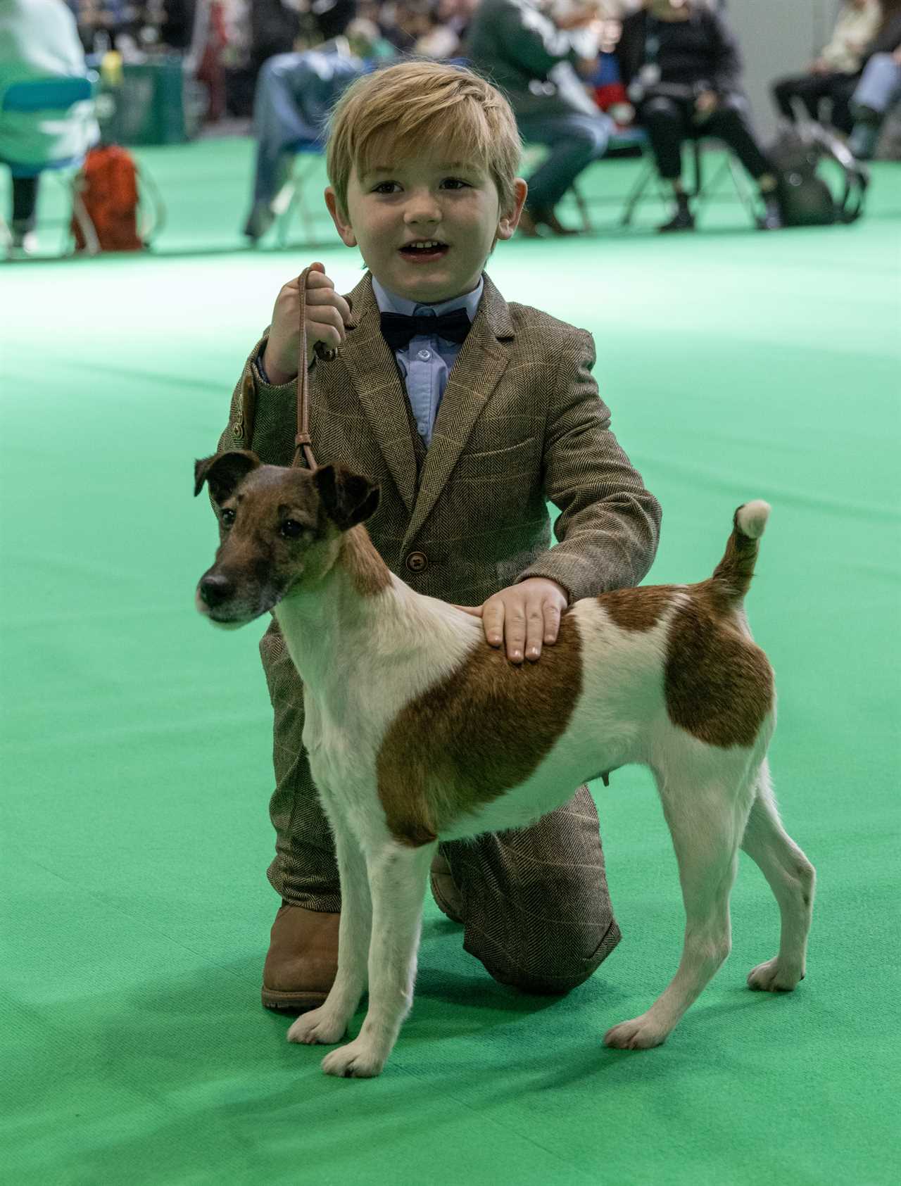 Crufts 2025: Youngest Dog-Handler Wins Big