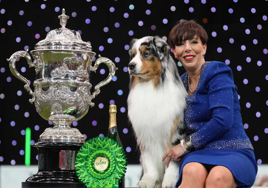 Who won Crufts 2024?