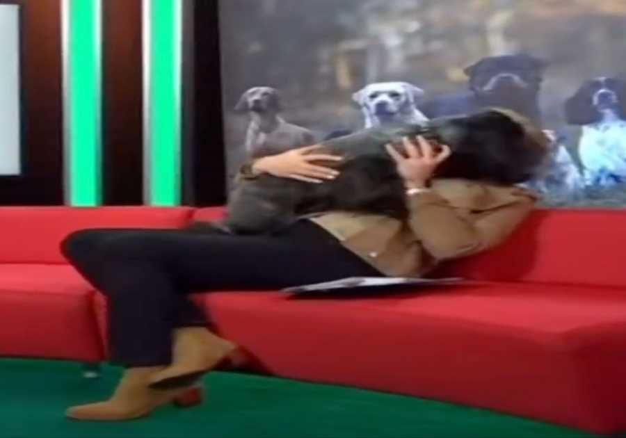 Crufts Host Clare Balding's On-Air Blunder: Excitable Dog Steals the Show