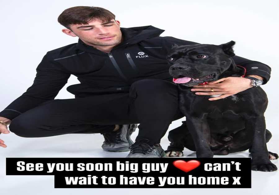 Jack Fincham to Get Cane Corso Dog Back After Successful Court Appeal