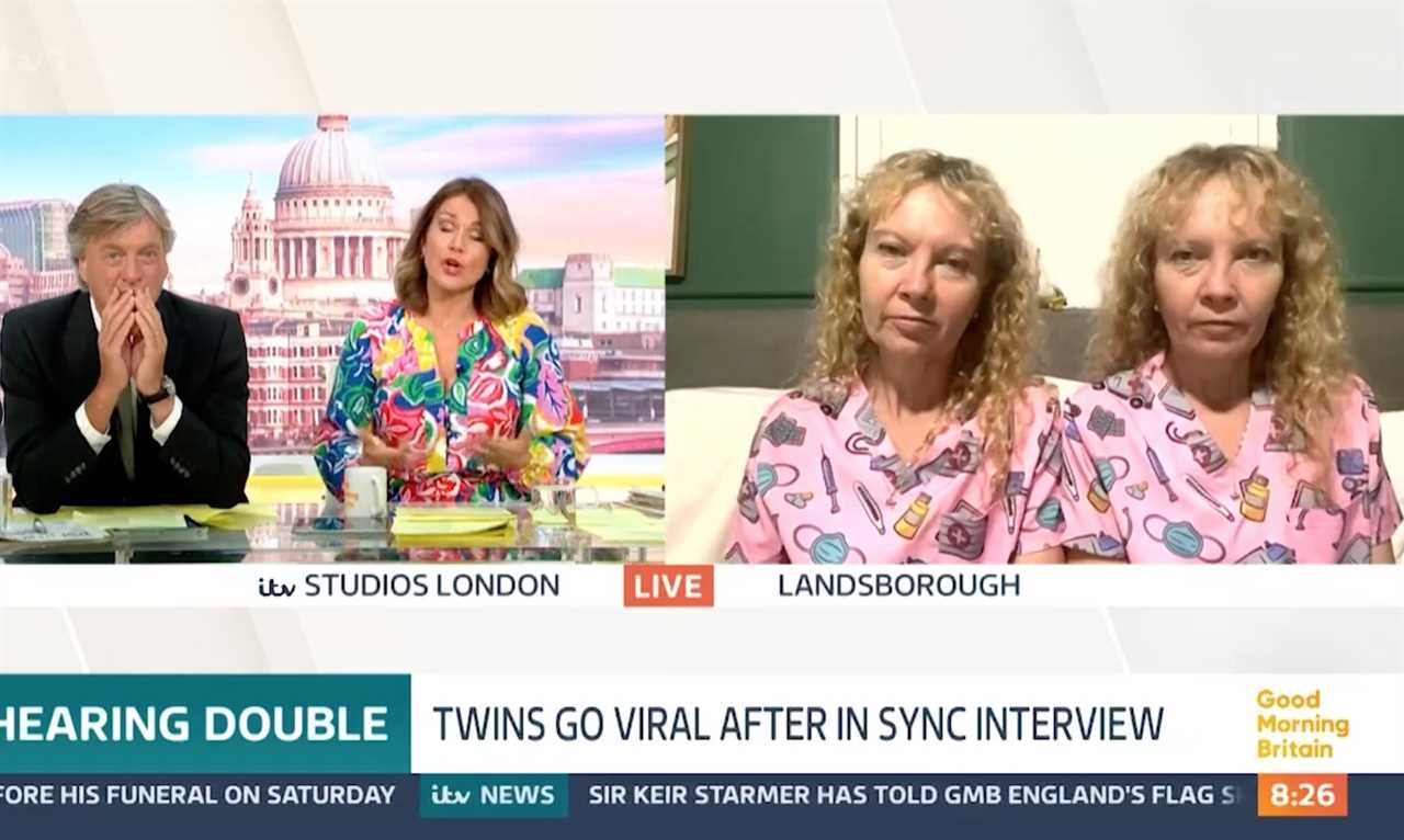 Mirror Image Minds: The Enigmatic Harmony of The Twinnies