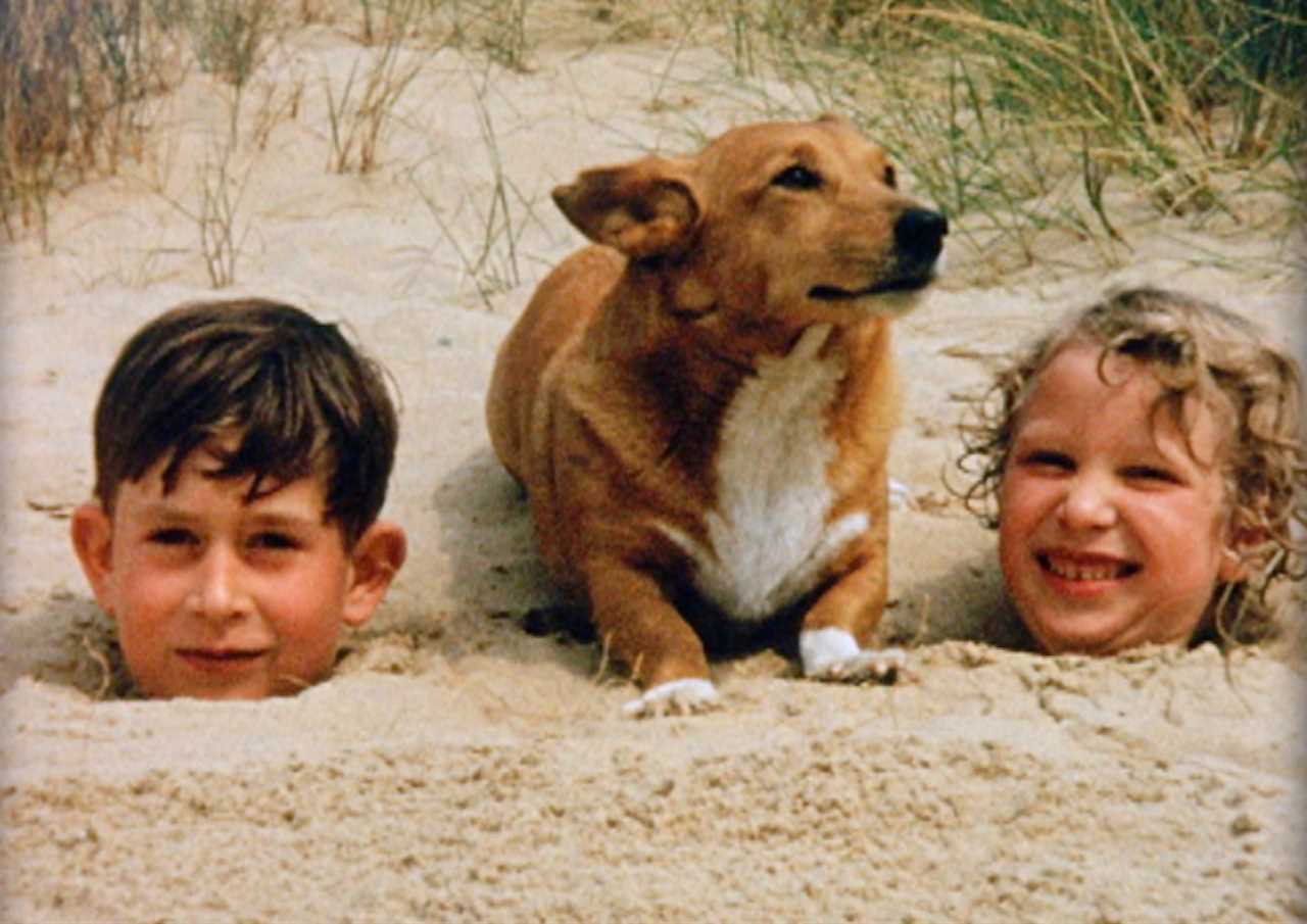 Enhancing Accessibility and Sustainability: Holkham Beach's Renovation Reflects its Royal Heritage
