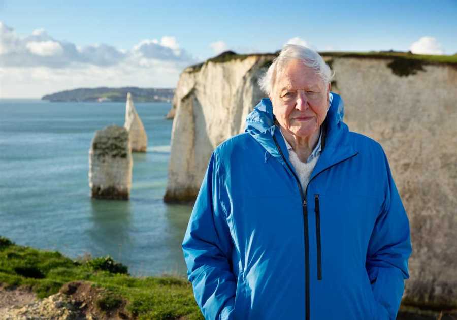 Sir David Attenborough Acknowledges Mortality in Reflection on Ocean Conservation